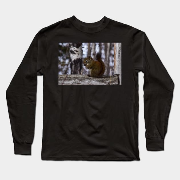 Red Squirrel Snacking. Long Sleeve T-Shirt by CanadianWild418